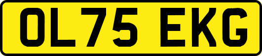 OL75EKG