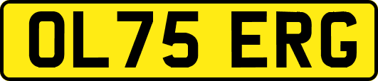 OL75ERG