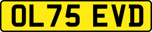 OL75EVD
