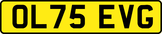 OL75EVG