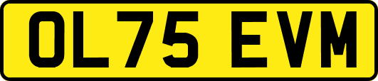 OL75EVM