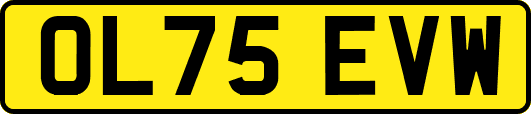 OL75EVW
