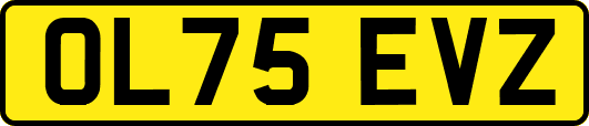 OL75EVZ