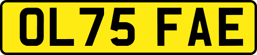 OL75FAE