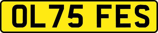 OL75FES