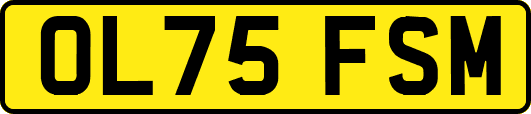 OL75FSM