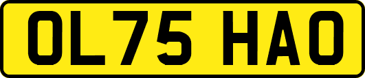 OL75HAO