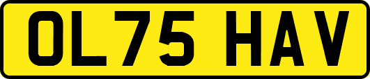 OL75HAV