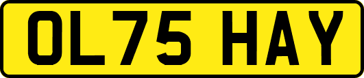 OL75HAY