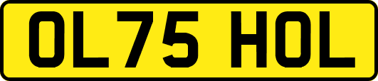 OL75HOL