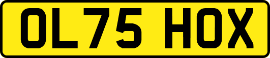OL75HOX