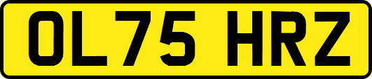 OL75HRZ
