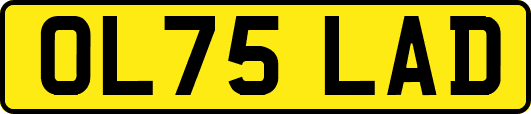 OL75LAD