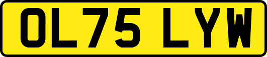 OL75LYW