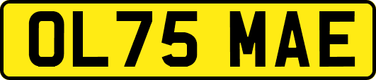 OL75MAE