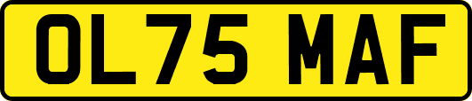 OL75MAF