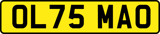 OL75MAO
