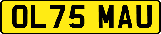 OL75MAU