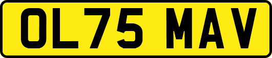 OL75MAV