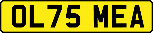 OL75MEA