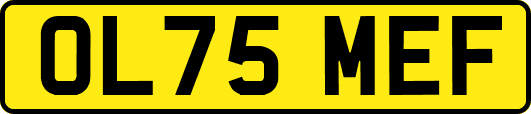 OL75MEF