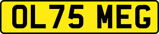 OL75MEG