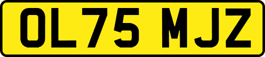 OL75MJZ