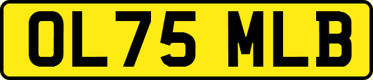 OL75MLB