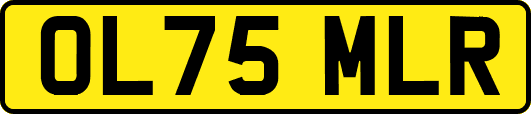OL75MLR