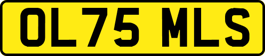 OL75MLS