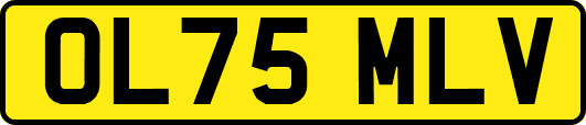 OL75MLV