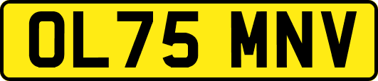 OL75MNV