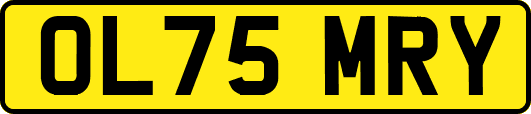 OL75MRY