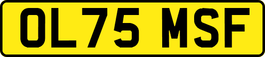 OL75MSF