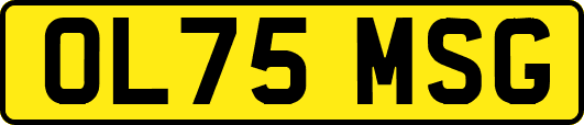 OL75MSG