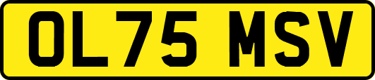 OL75MSV