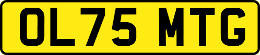 OL75MTG