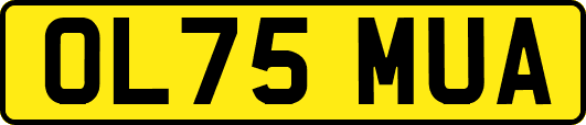 OL75MUA