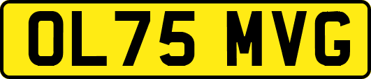 OL75MVG