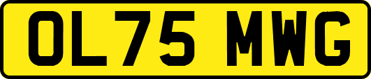 OL75MWG