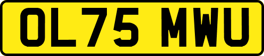 OL75MWU