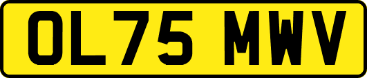 OL75MWV