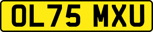 OL75MXU