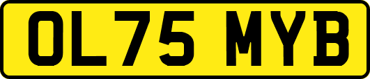 OL75MYB