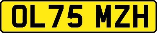 OL75MZH