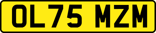 OL75MZM