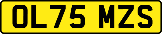 OL75MZS