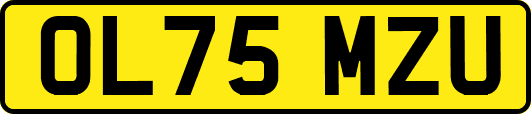 OL75MZU