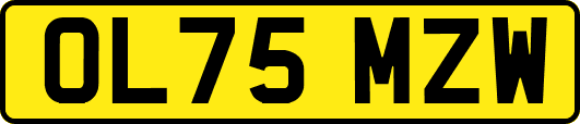 OL75MZW