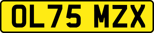 OL75MZX